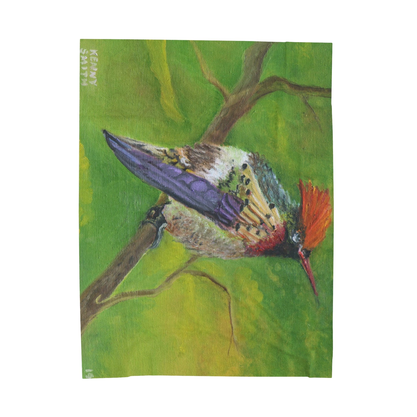 Velveteen Plush Blanket Costa Rican Hummingbird Art by Kenny Smith