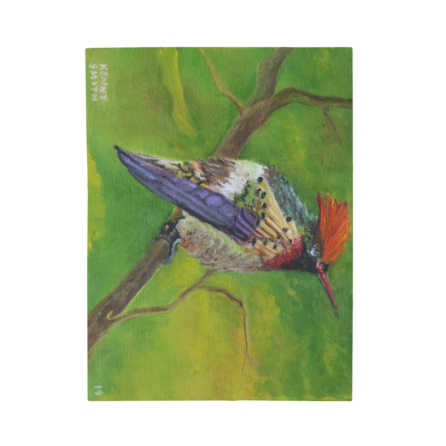 Velveteen Plush Blanket Costa Rican Hummingbird Art by Kenny Smith